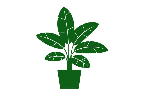 Download Potted Rubber Plant Foliage Design - Design Collection